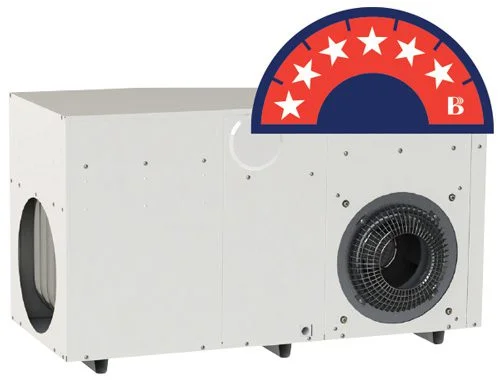 Gas ducted heater